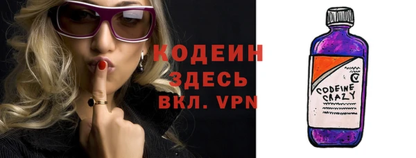 спиды Богородицк