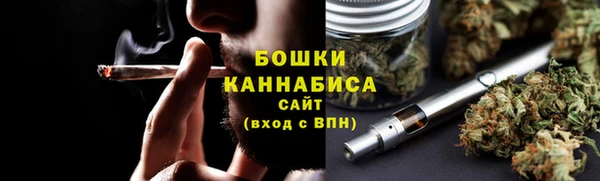 спиды Богородицк