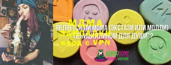 спиды Богородицк