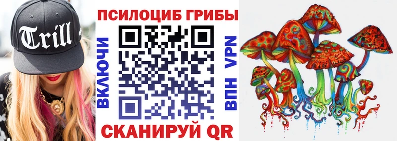 Купить закладки  Остров  Псилоцибиновые грибы Cubensis 